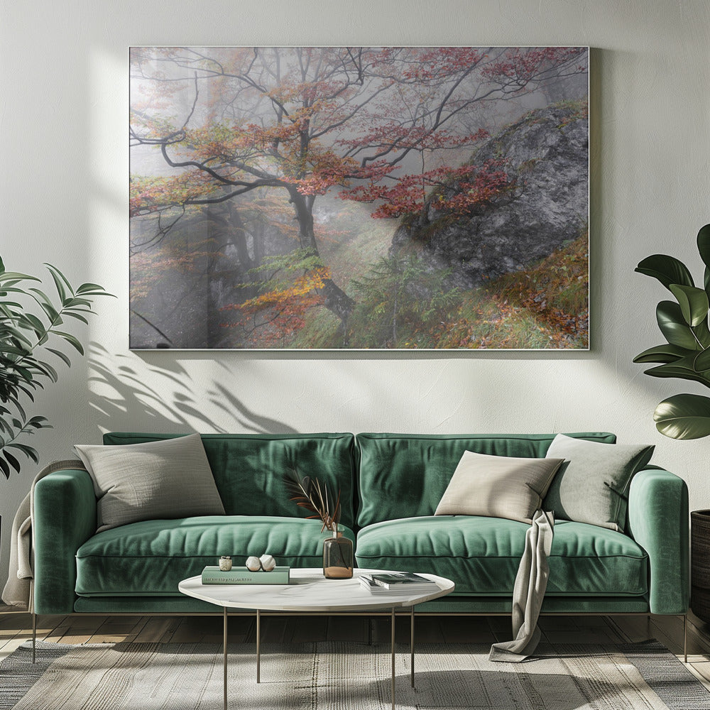Foggy Woods | Canvas