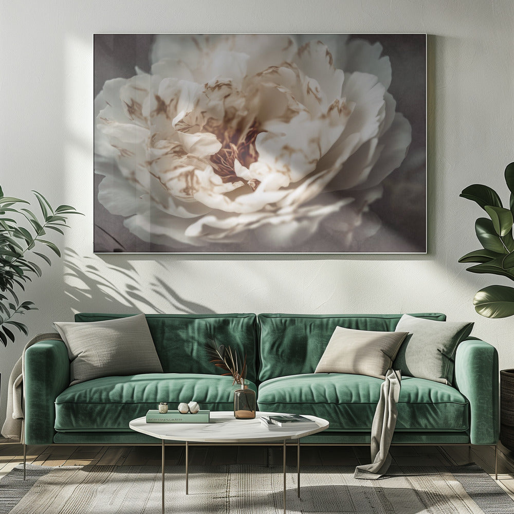 Petals of Serenity | Canvas