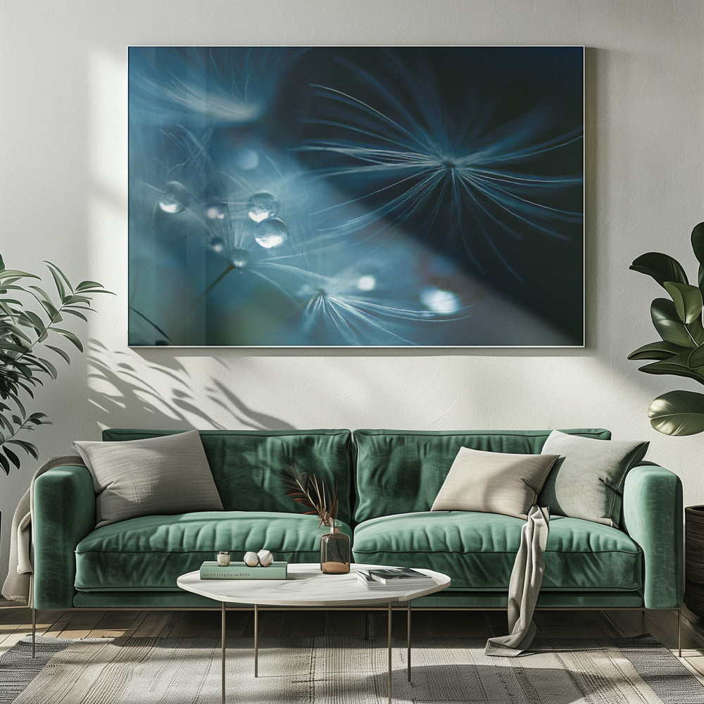 soft touch | Canvas