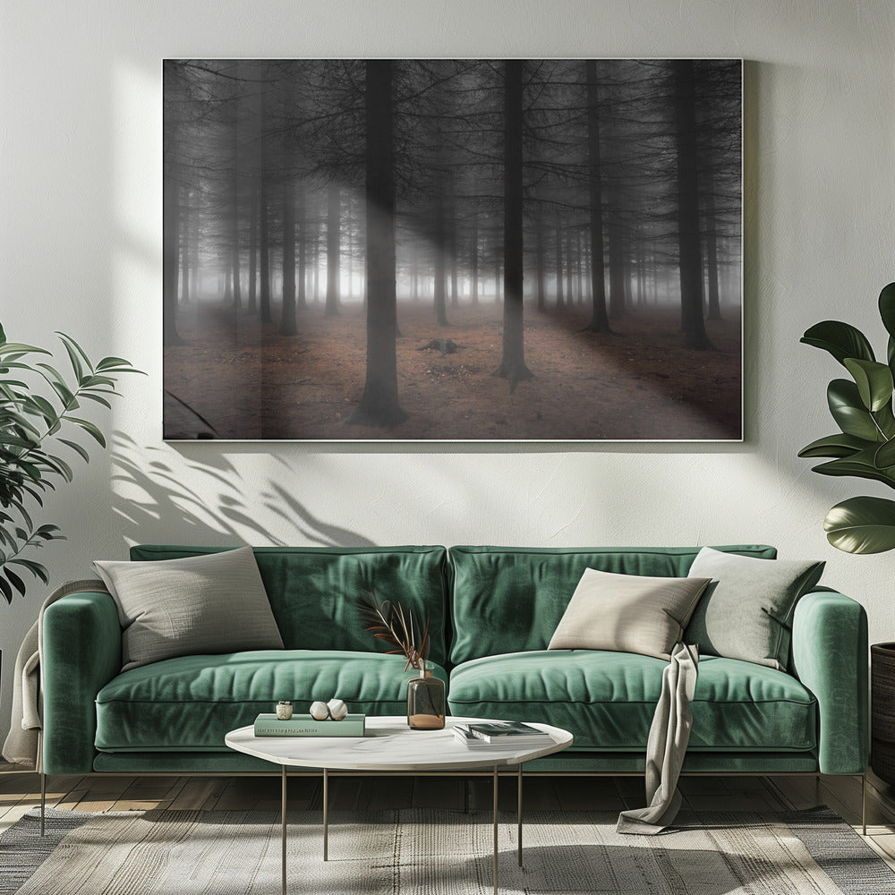 Silence | Canvas