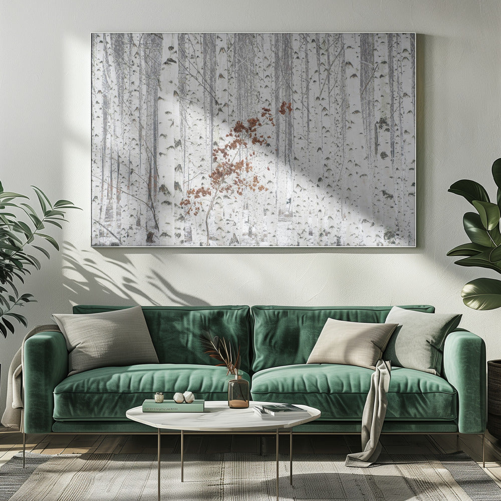From White | Canvas