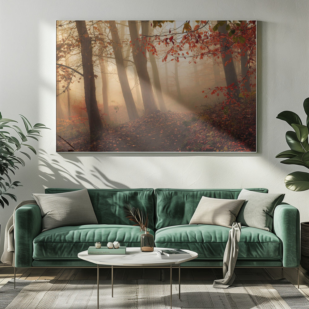 Towards the light. | Canvas