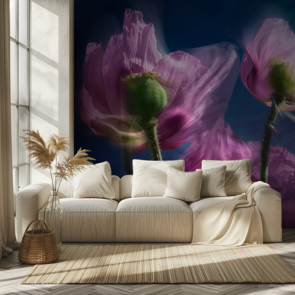 Poppies by the wayside | Wallpaper