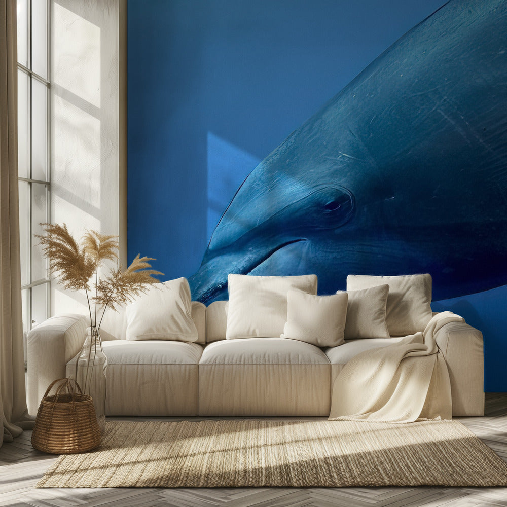 Tursiop Portrait | Wallpaper