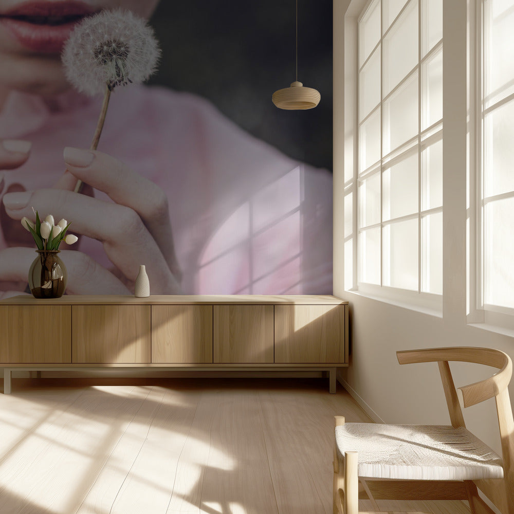 Dandelion | Wallpaper