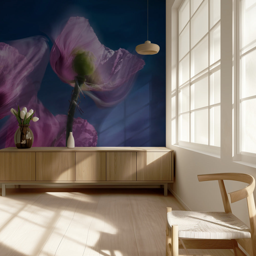 Poppies by the wayside | Wallpaper