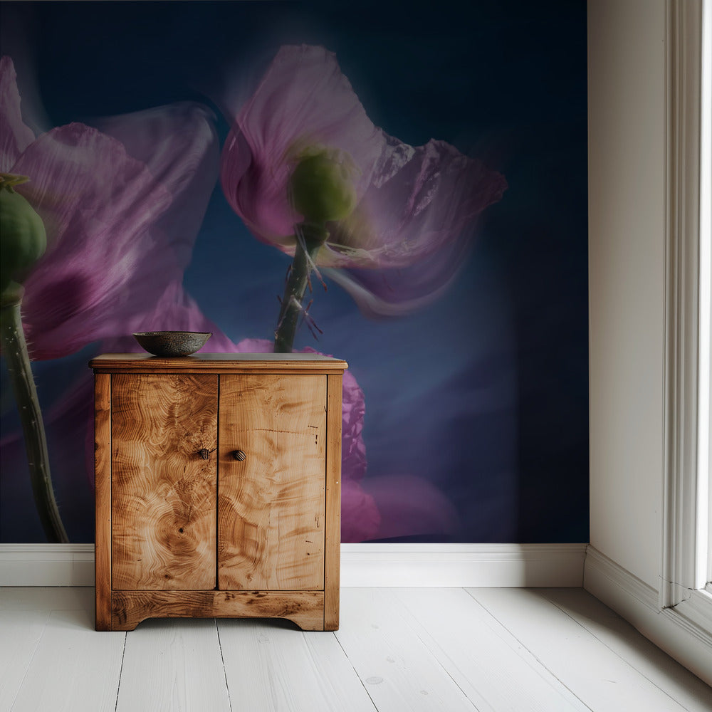 Poppies by the wayside | Wallpaper