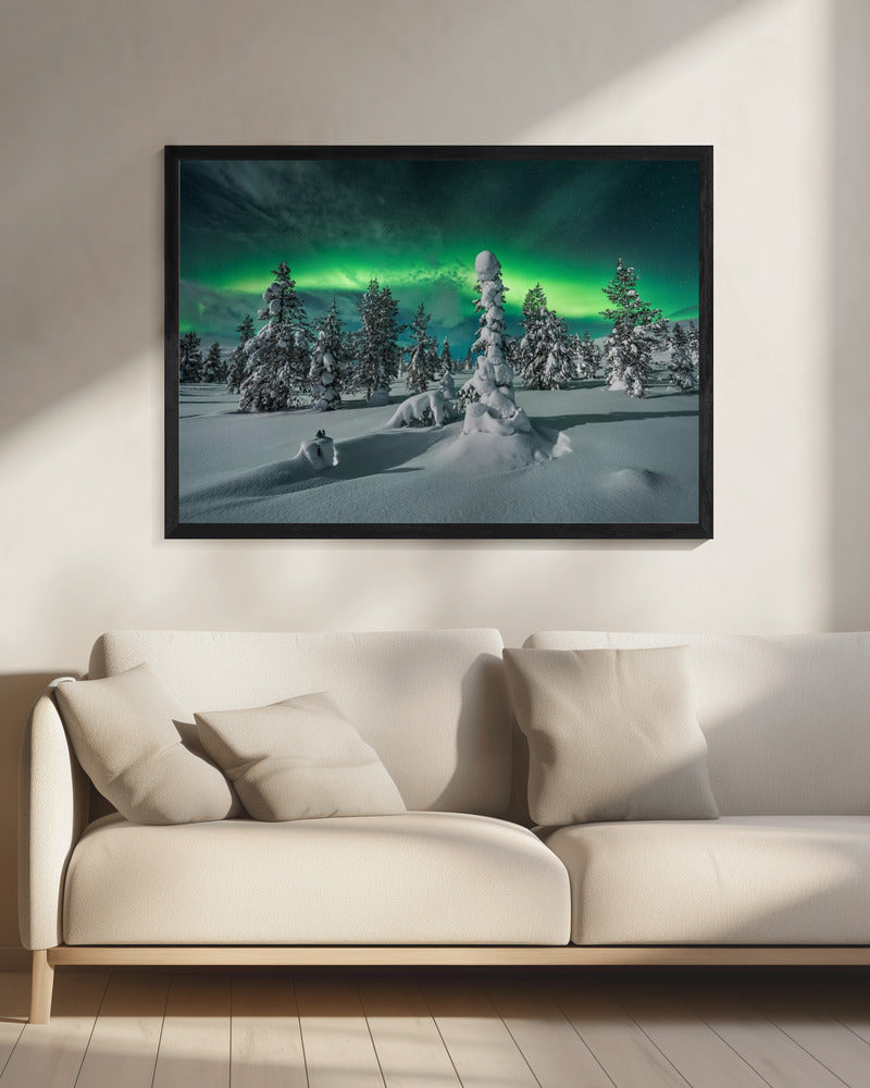 polar night | Canvas