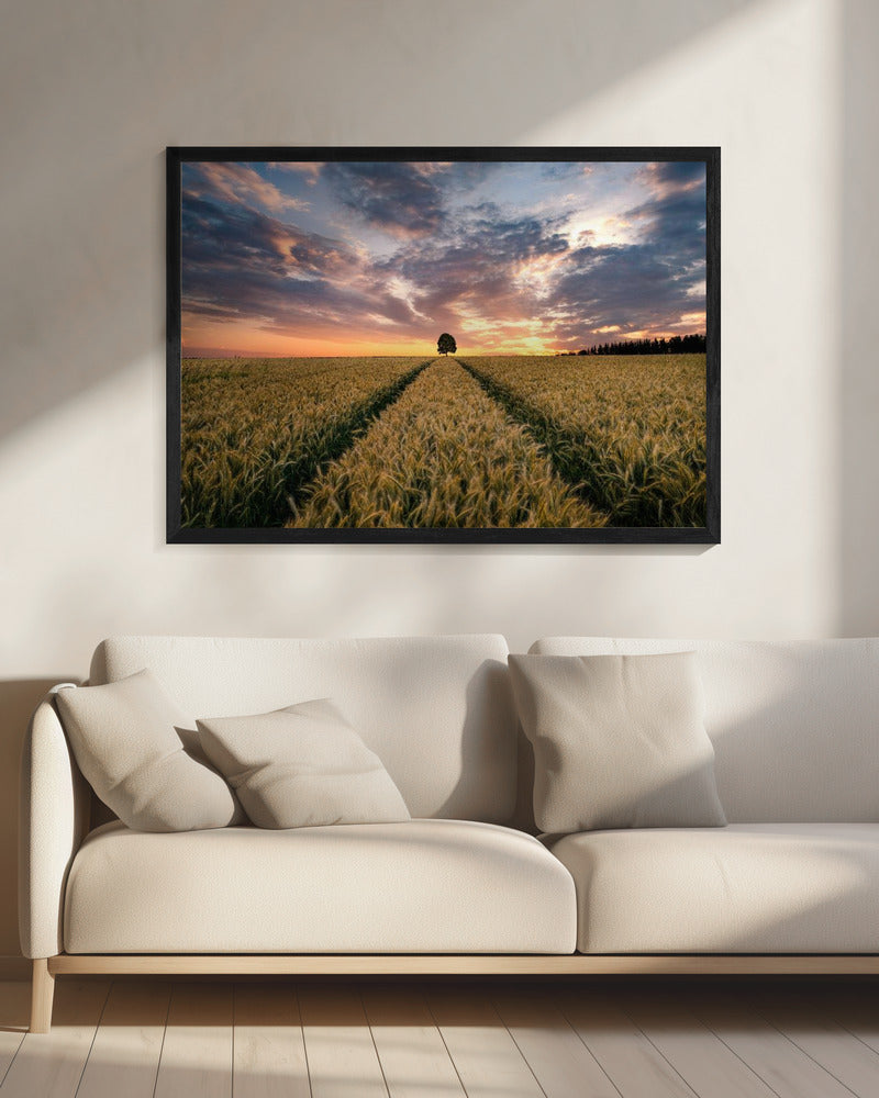 Field of dreams | Canvas