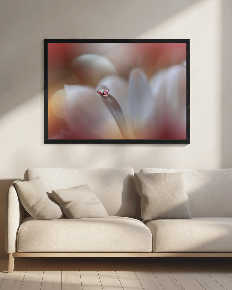 Enigma.. | Canvas