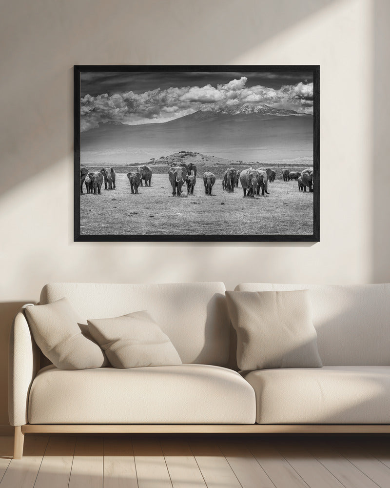 The Titans | Canvas