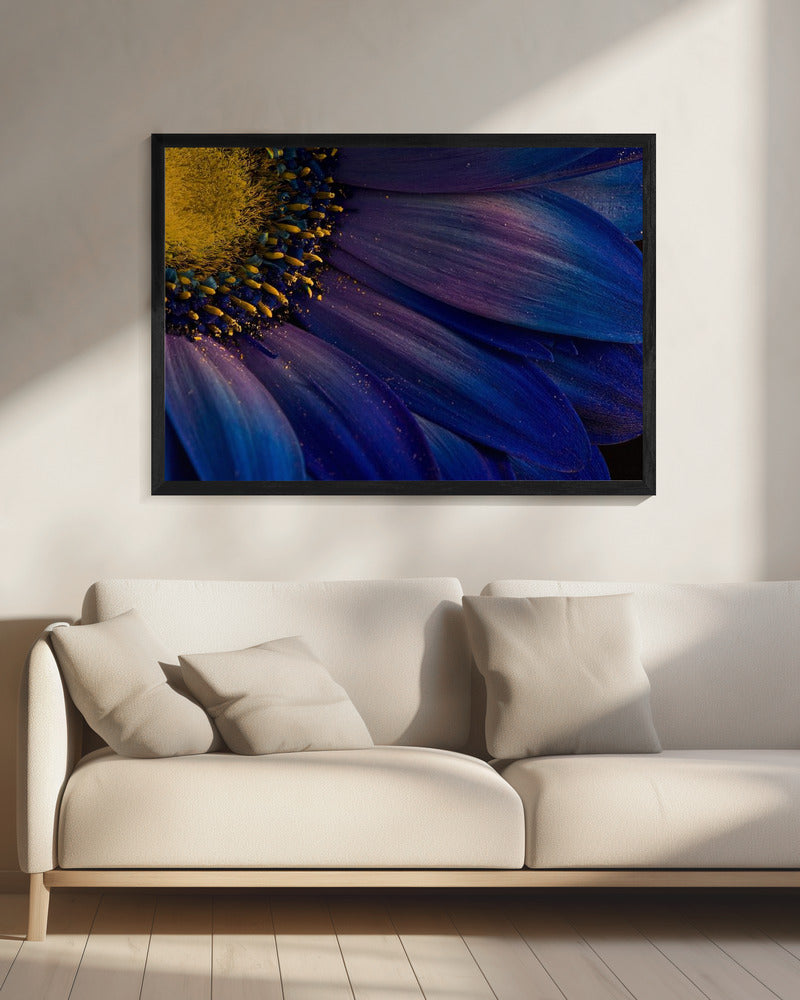 Blue Rays | Canvas