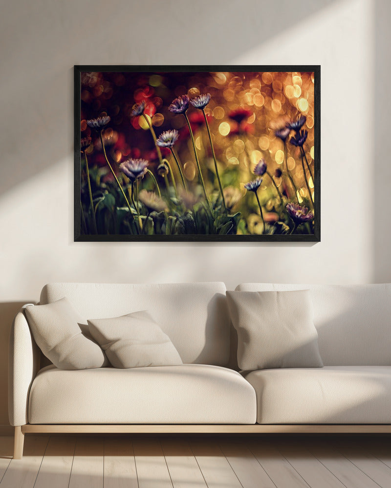 Untitled | Canvas
