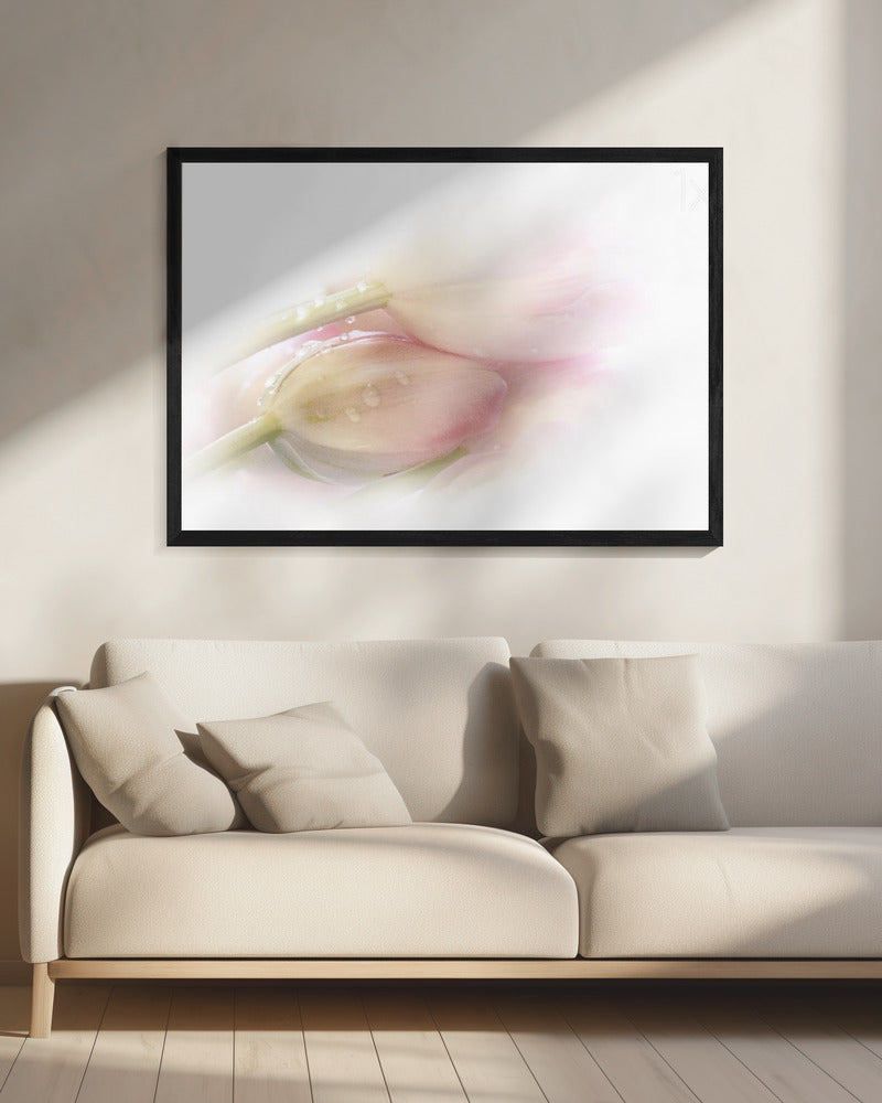 Touching | Canvas