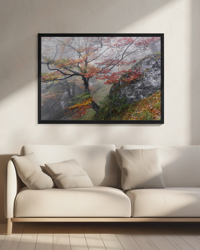 Foggy Woods | Canvas