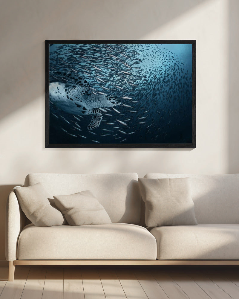 Bend | Canvas