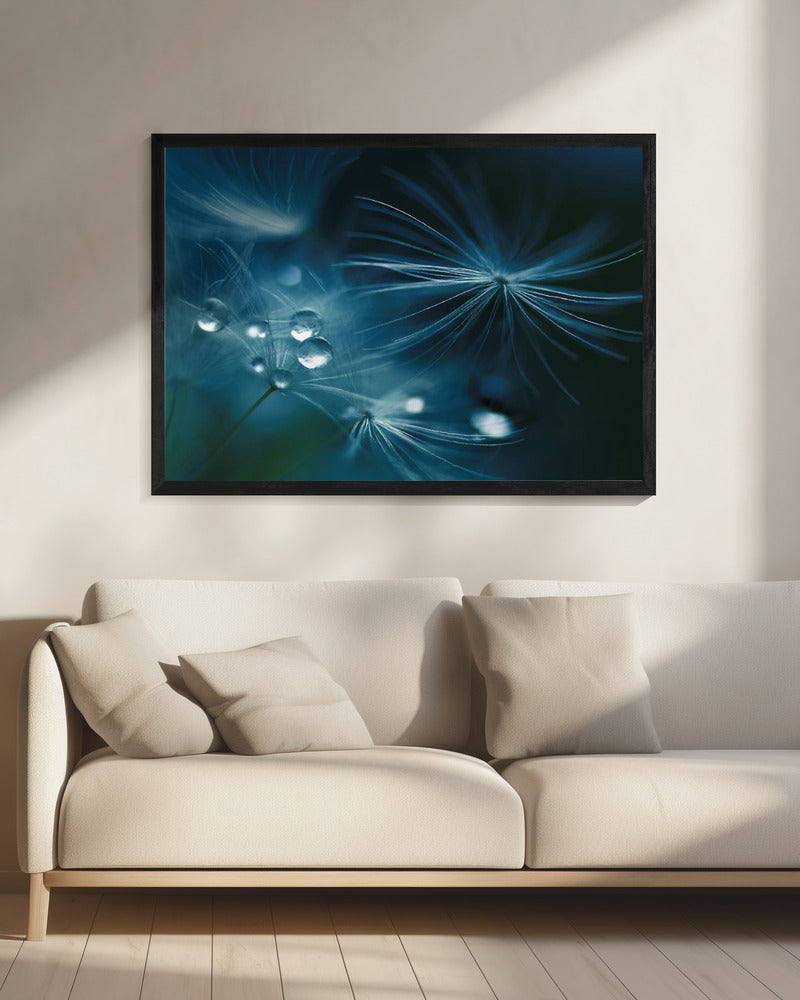 soft touch | Canvas