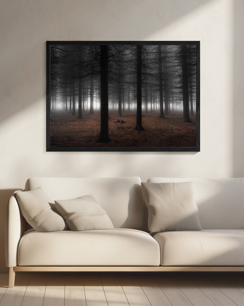 Silence | Canvas