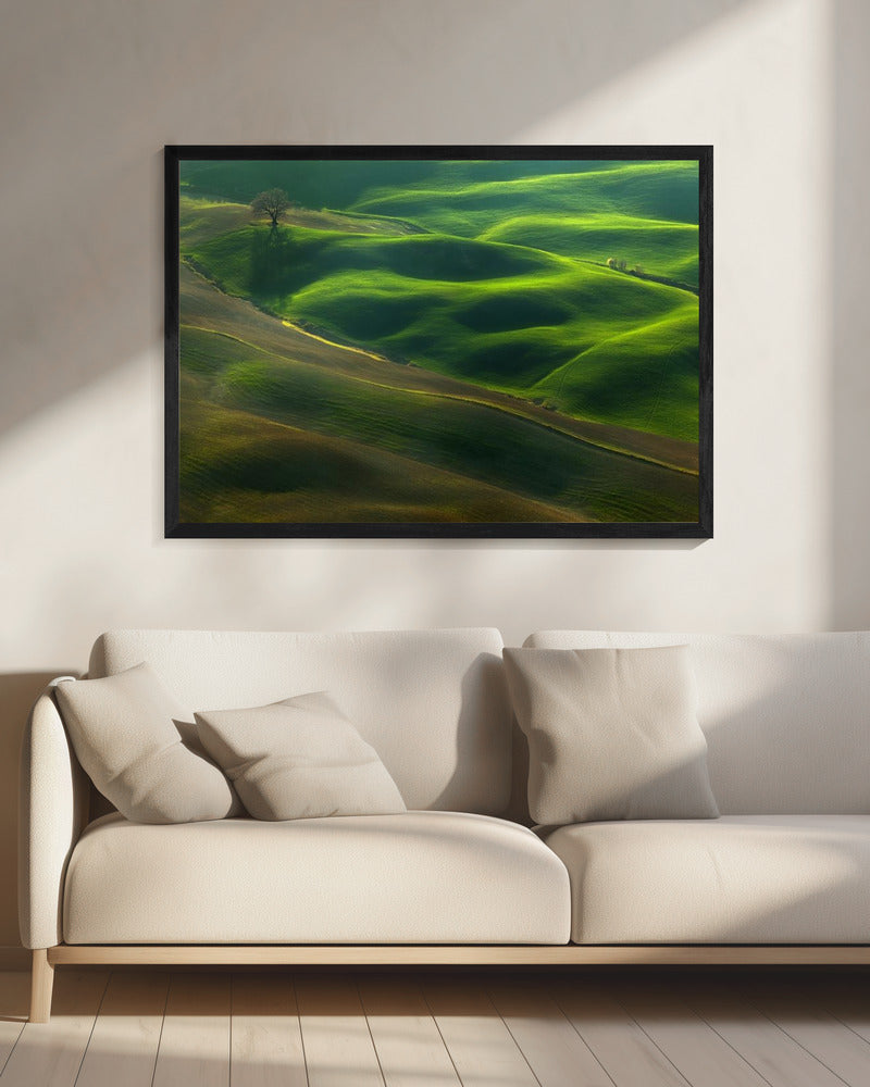 Oak... | Canvas