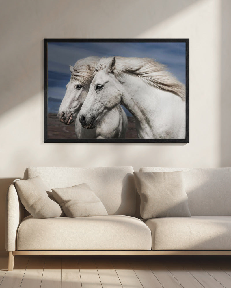 Blowing | Canvas