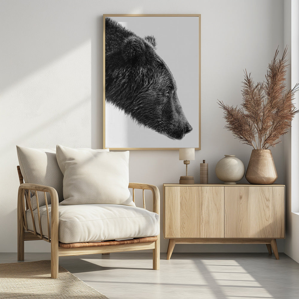 The Salmon Catcher | Poster