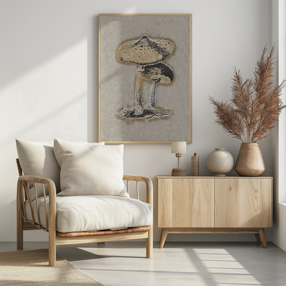 Hand Drawn Parasol Mushroom Brown | Poster