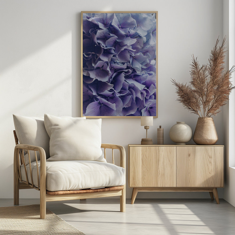 Vibrant Purple Hydrangea Flowers | Poster