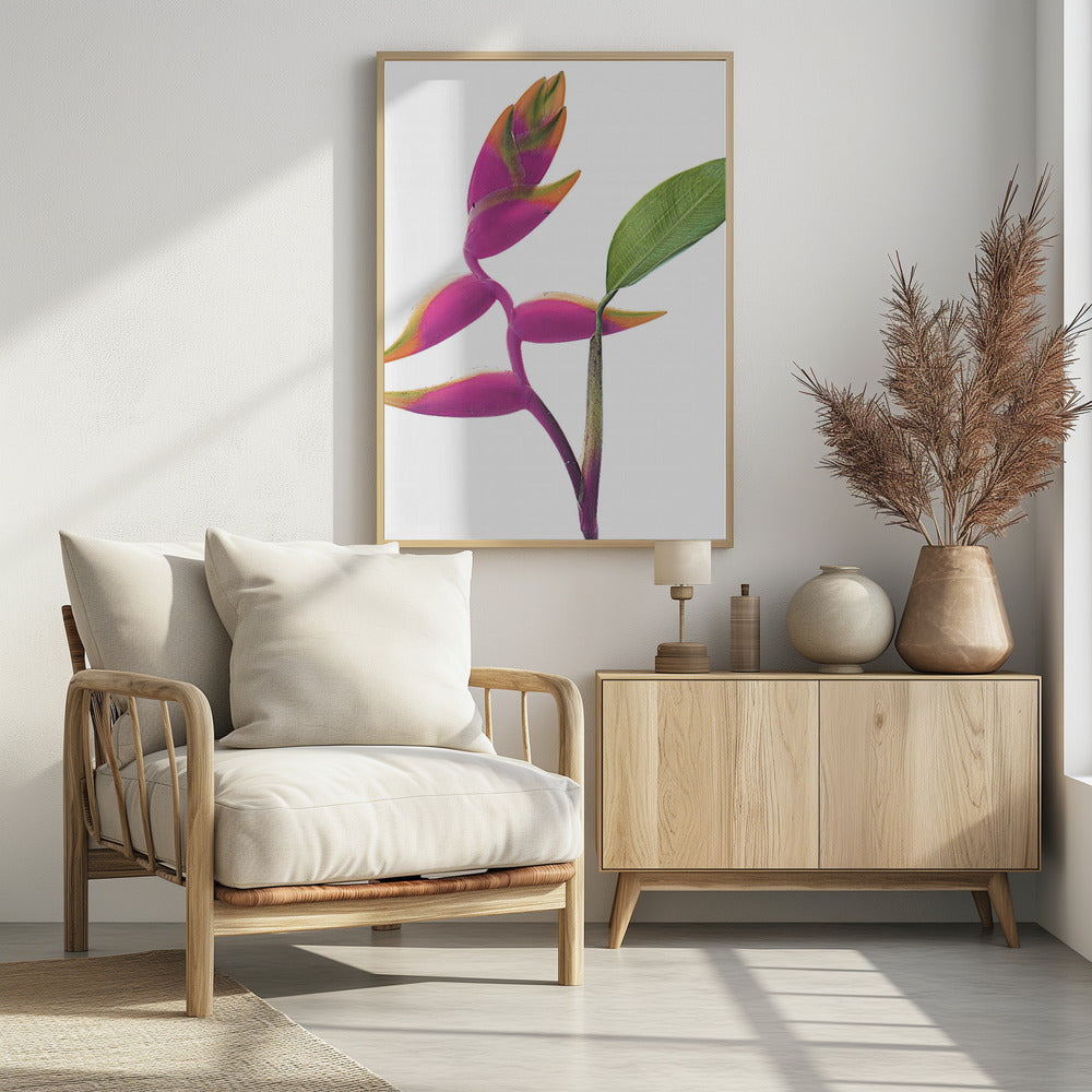 Tropical Elegance | Poster