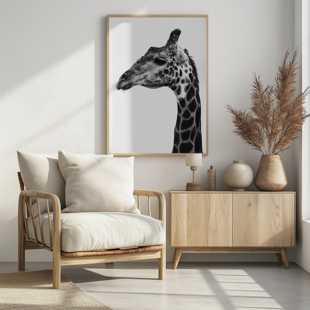 Intricate Patterns Of A Giraffe&#039;s Skin | Poster