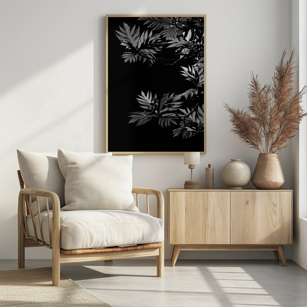 Shadows of Leaves | Poster