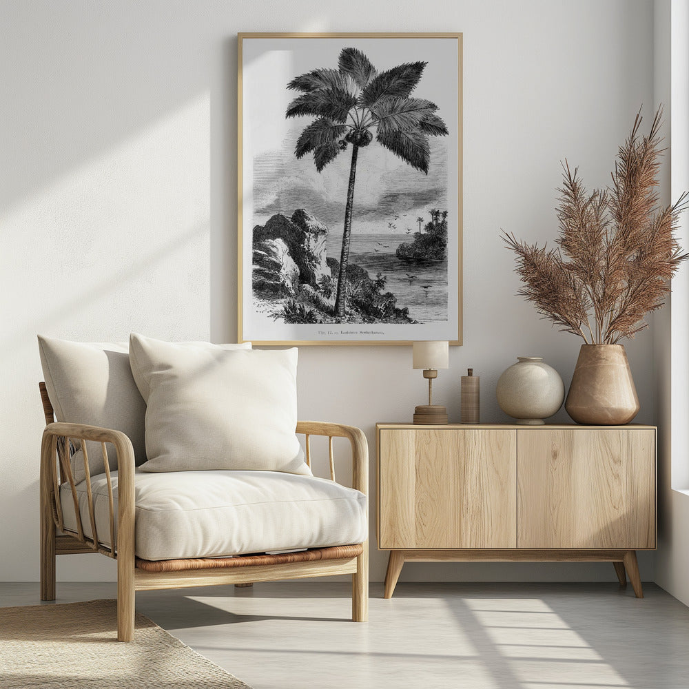 Vintage Palm Tree Drawing I | Poster