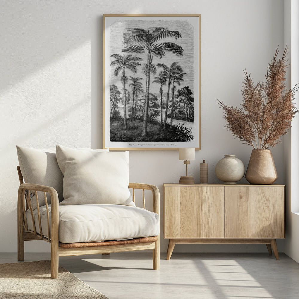 Vintage Palm Tree Drawing Ii | Poster