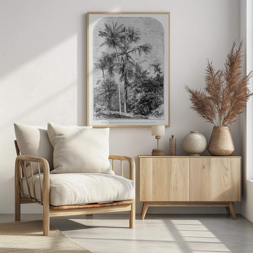 Vintage Palm Tree Drawing Iv | Poster