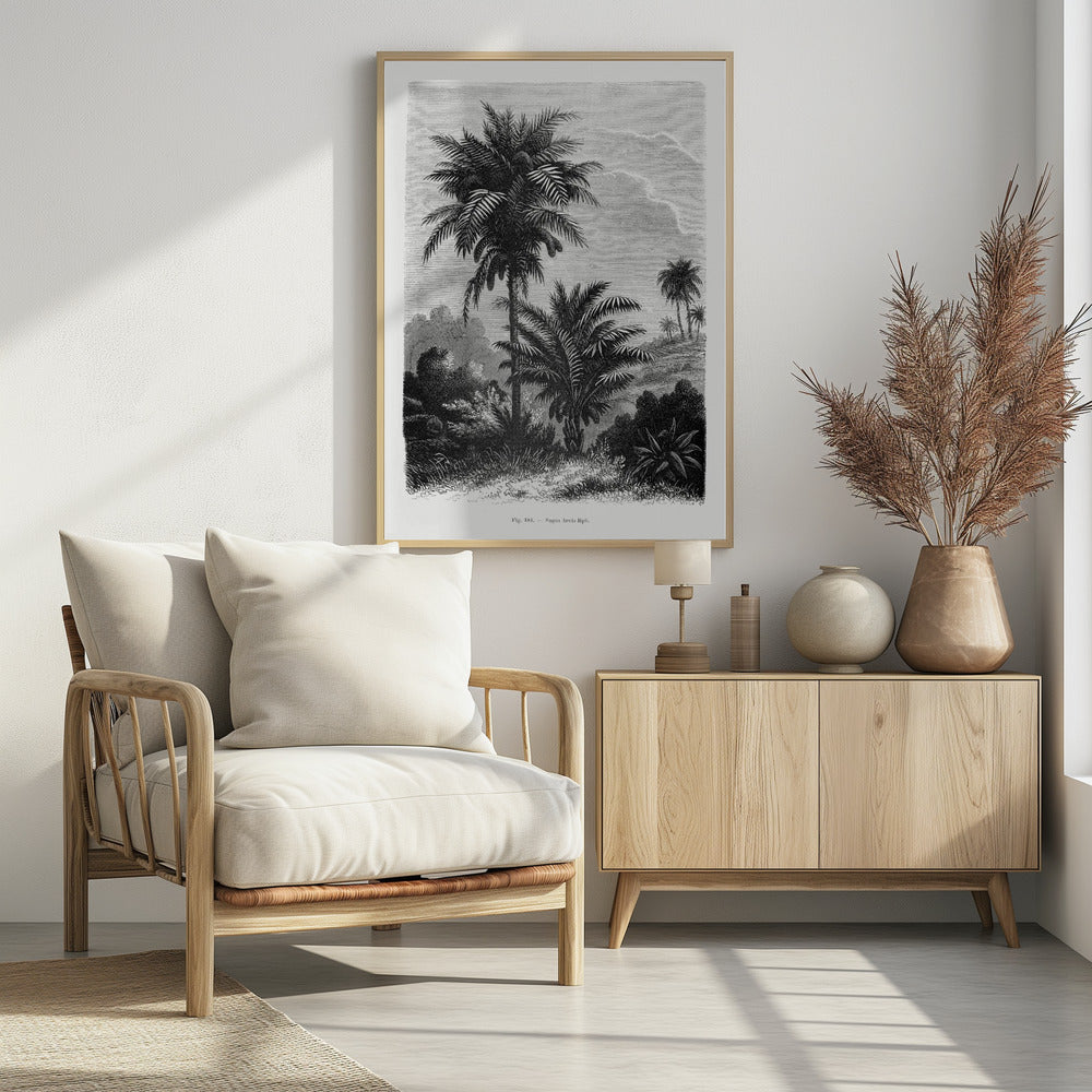 Vintage Palm Tree Drawing V | Poster