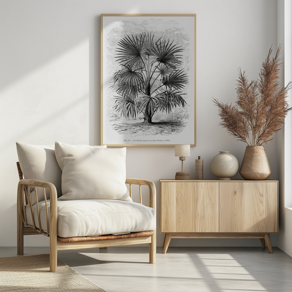 Vintage Palm Tree Drawing Xi | Poster