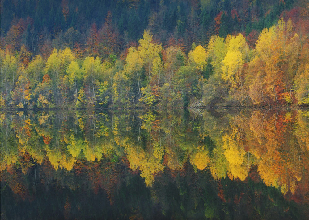 Autumnal silence | Canvas