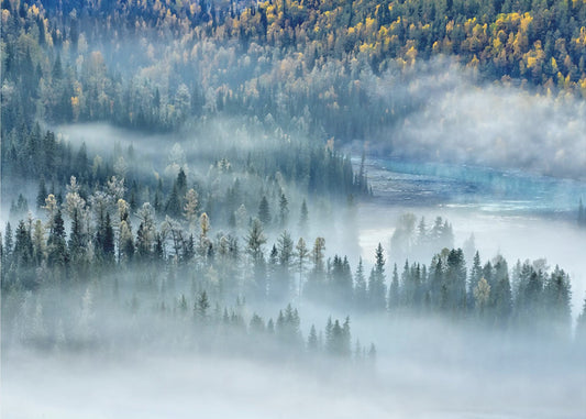 Magic Bay | Canvas