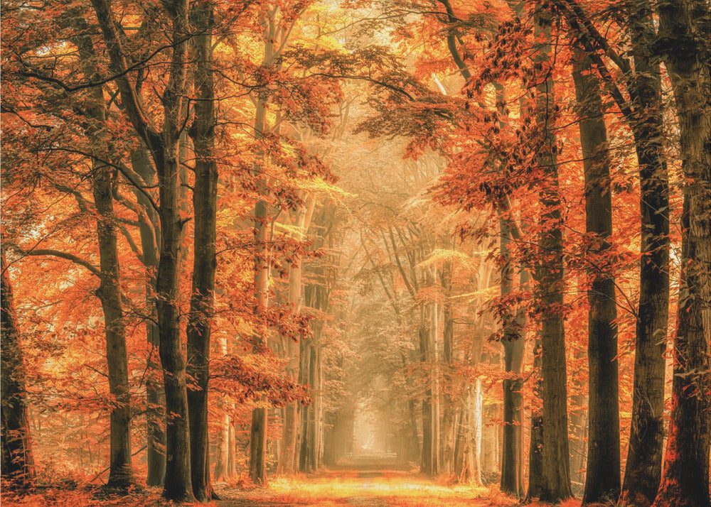 Exit the Portal | Poster