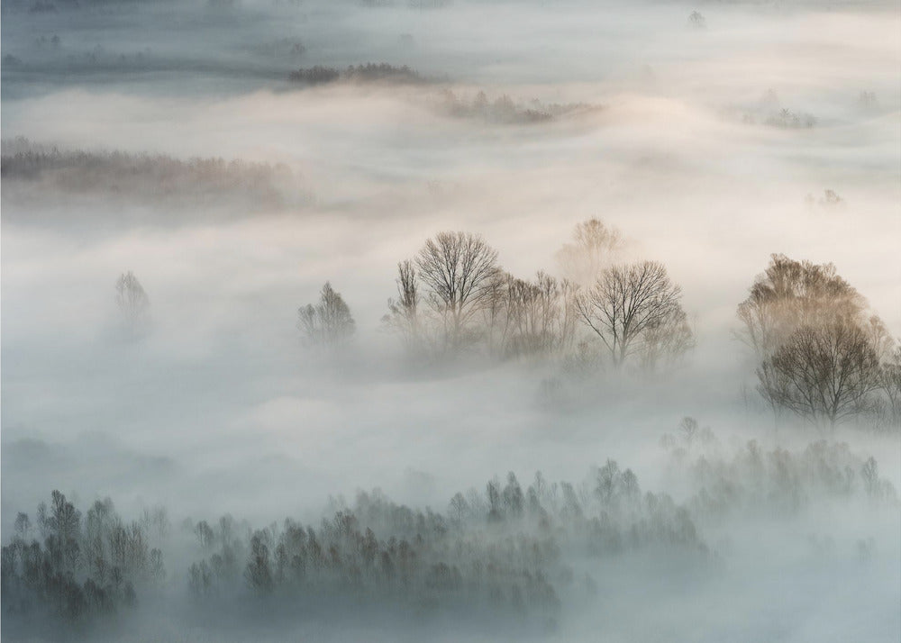 Winter fog | Canvas