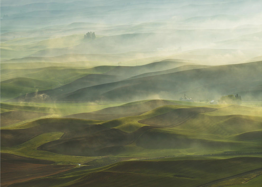 Golden Morning-Palouse | Canvas