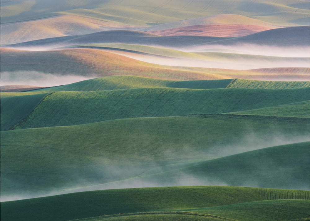 Foggy Morning | Canvas