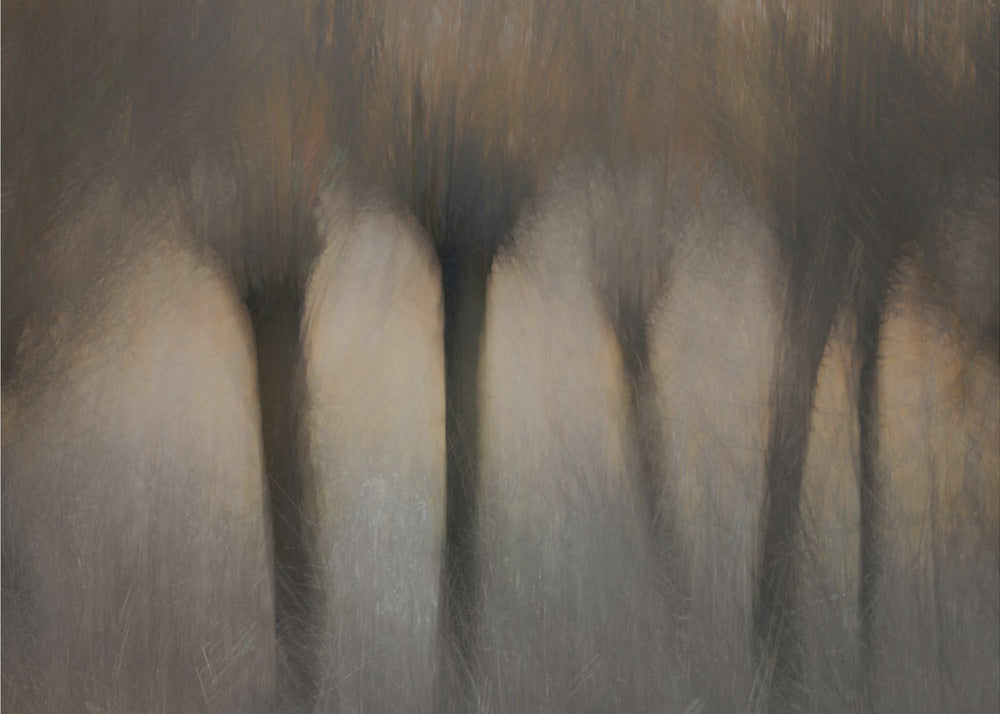 Pollard willows | Canvas