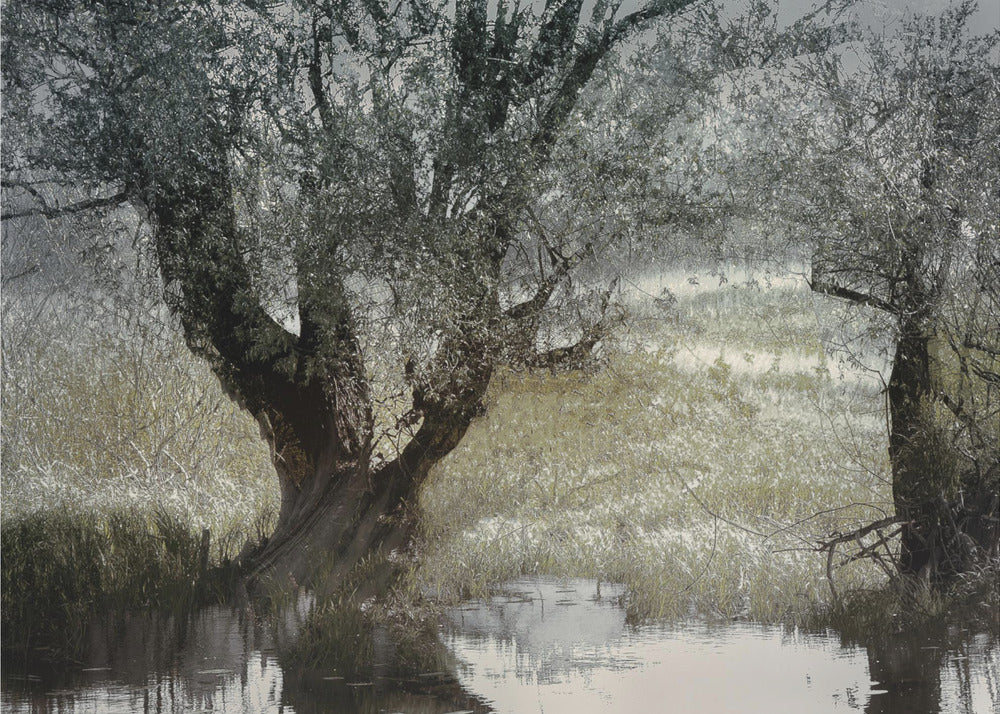 On the water side | Canvas