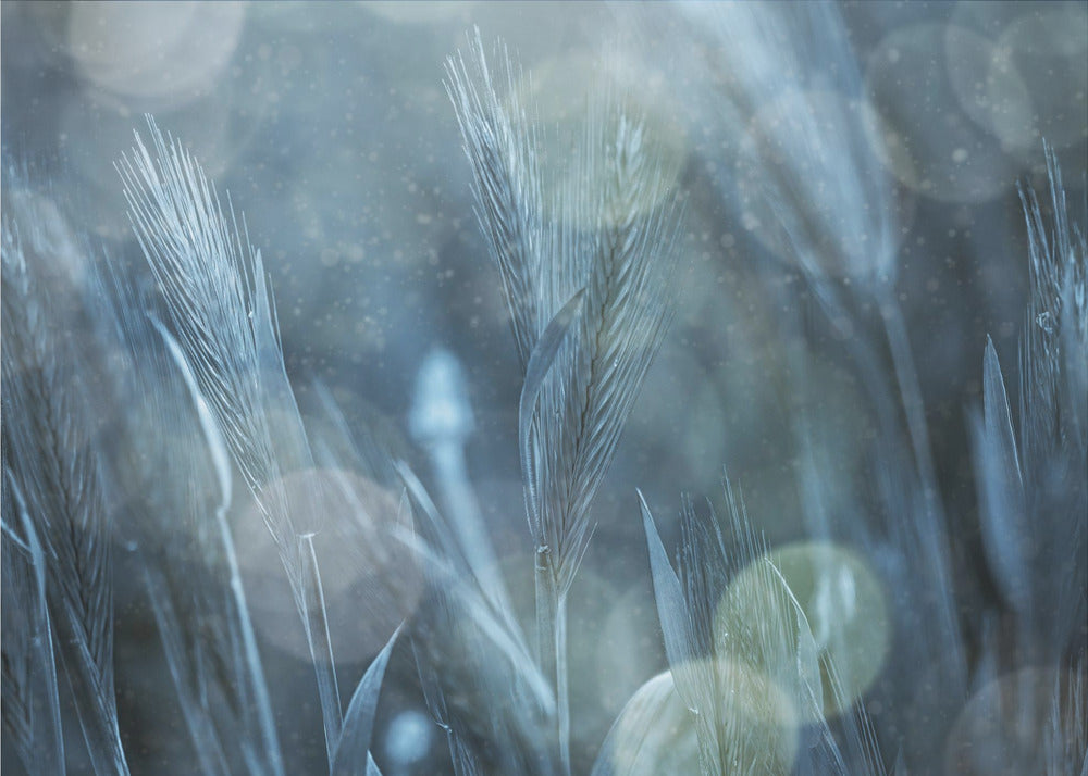 Fantastic Nature | Wallpaper