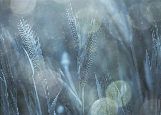 Fantastic Nature | Wallpaper