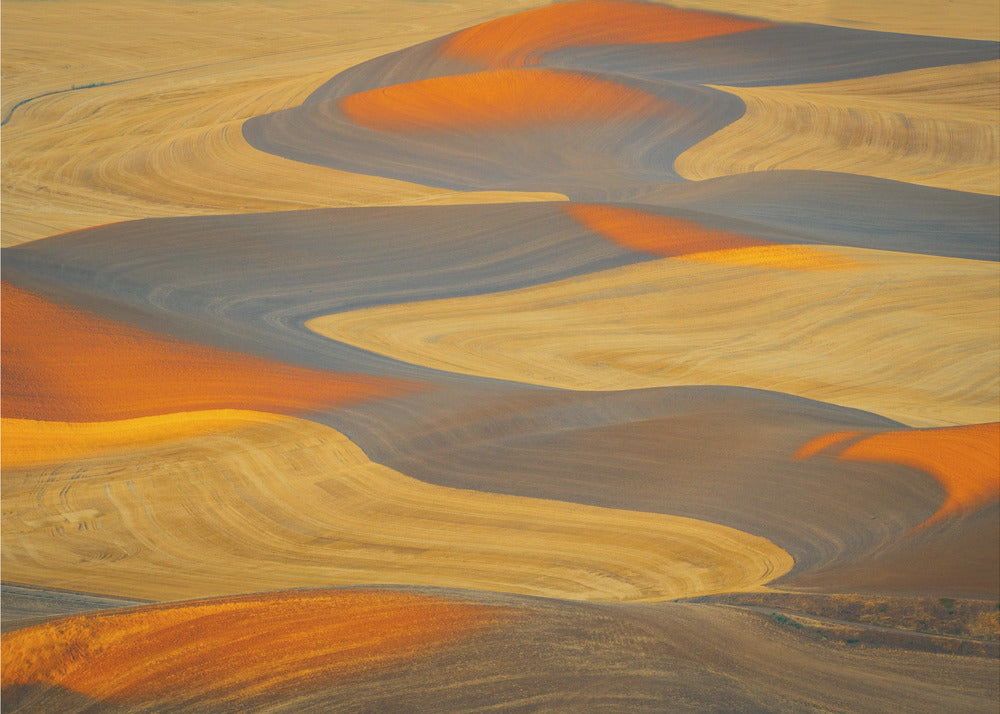 Painted Land | Poster