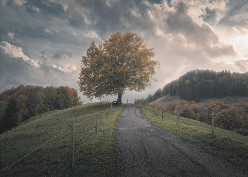 Time After Time | Canvas