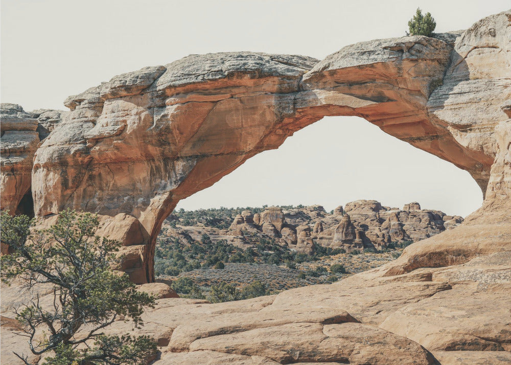 View to the West | Canvas