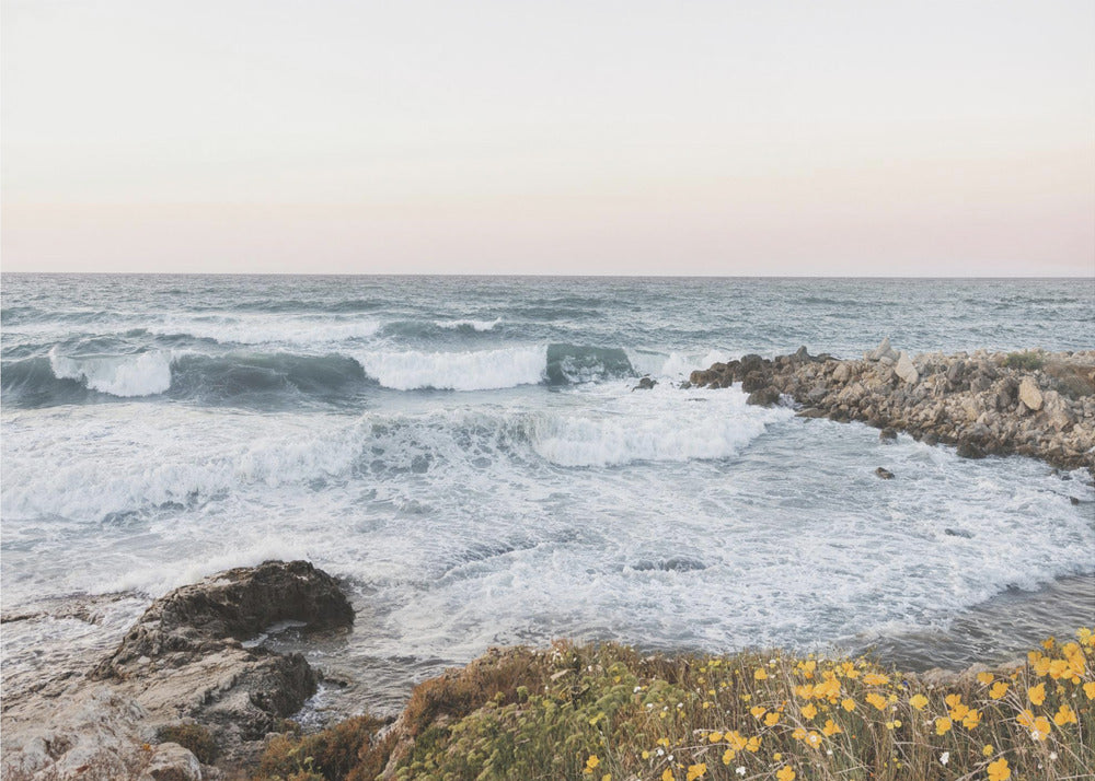 Seascape and poppies | Poster