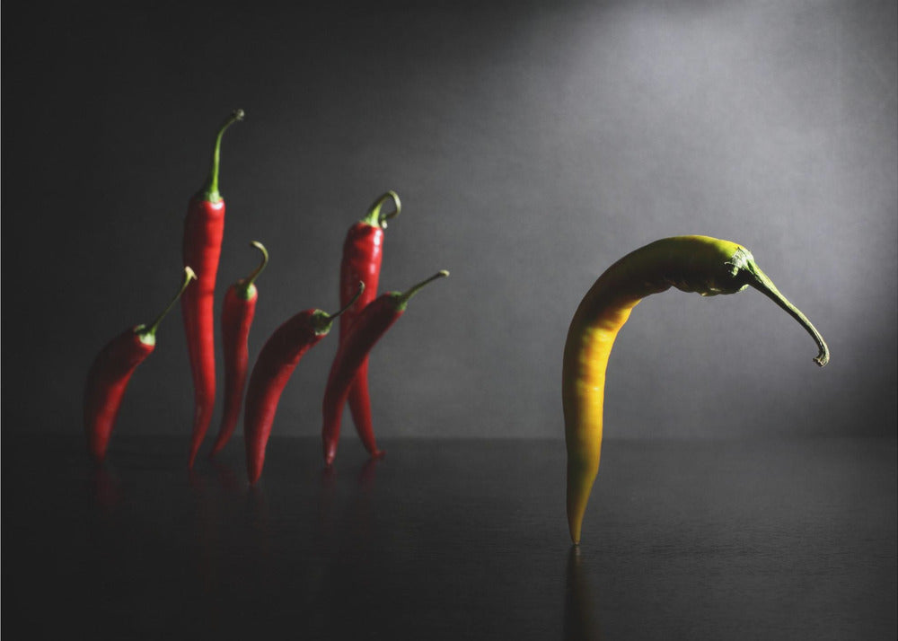 Hit the road, Jack! | Canvas